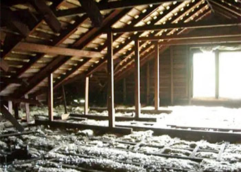 Attic Smells You Should Never Ignore