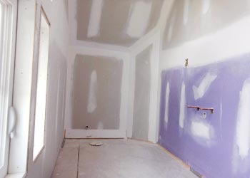 Remove and kill mold resisteant on drywall