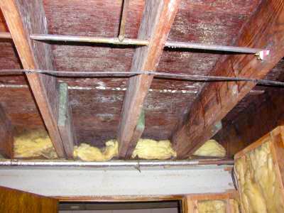 basement mold removal products
