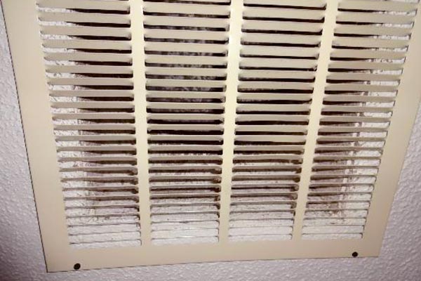 black mold in air vents