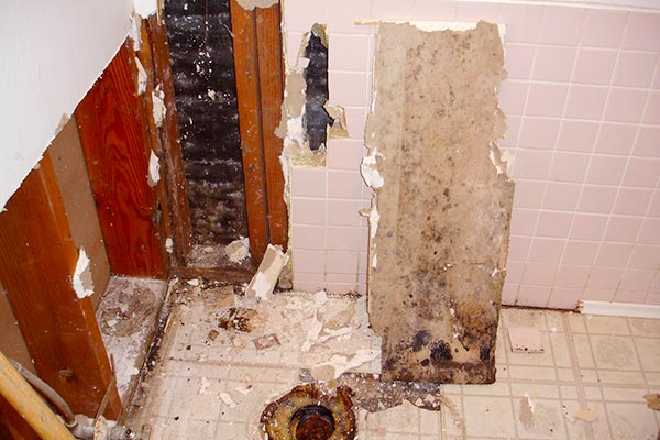 black mold in bathroom dangerous