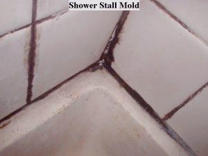 black mold in bathroom floor