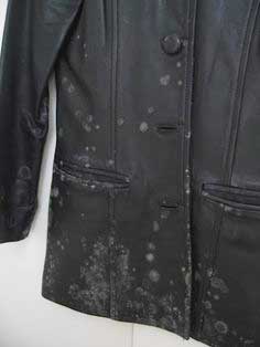 cleaning mold stains clothing