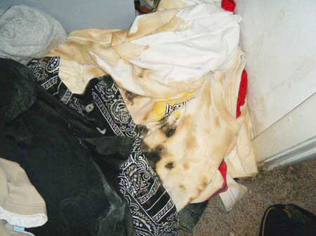 dry cleaning moldy clothes