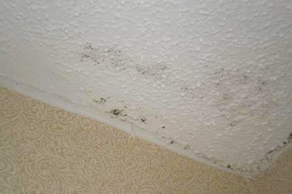how to remove mold from bathroom