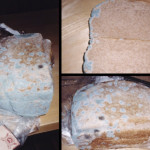 mold allergy food intolerance