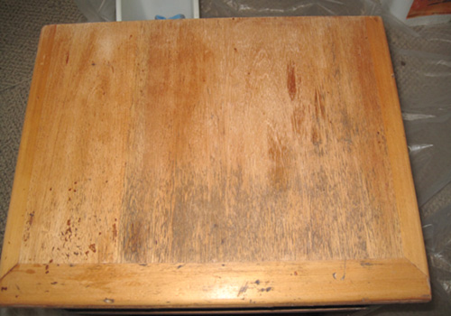 mold furniture wood