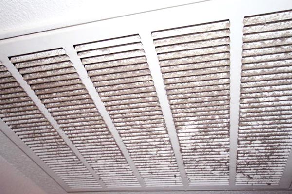 mold in air vents