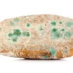 mold on bread science fair projects