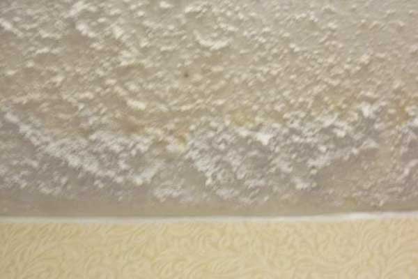 mold on ceiling above shower