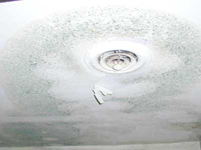 mold on ceiling above window