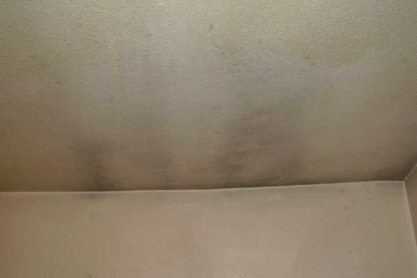 mold on ceiling bedroom