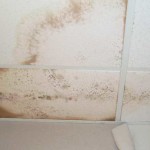 mold on ceiling drywall
