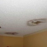mold on ceiling fan