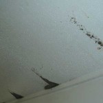 mold on ceiling tiles