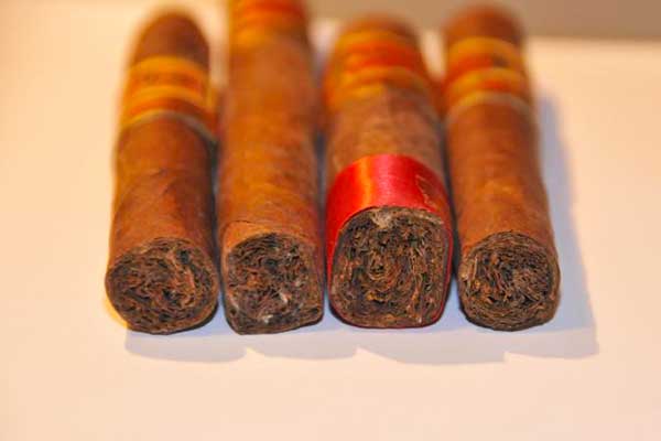 mold on cigars in humidor