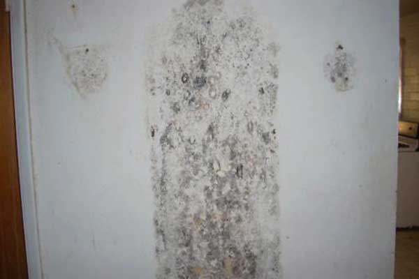 mold on walls health effects