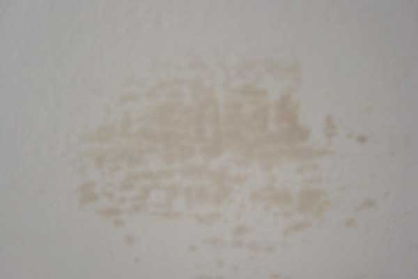 mold on walls in bathroom