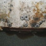 mold on walls in garage