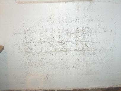 mold on walls in winter