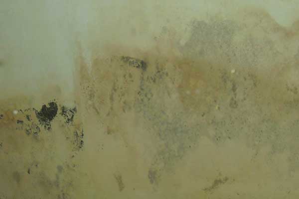 mold on walls vinegar