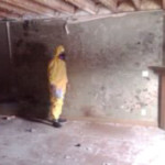 mold removal cost calgary