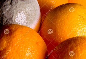 orange powdery drug