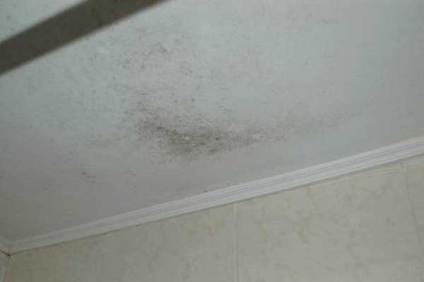 remove mold from bathroom ceiling