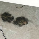 removing mold from carpet