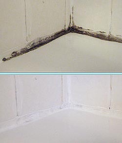 Mold in shower remover best product