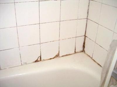clean mold and mildew from shower
