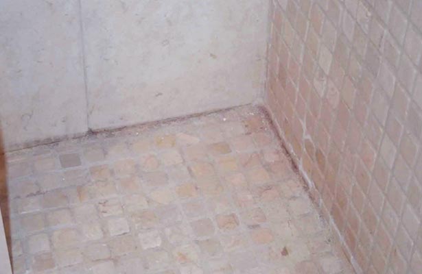 cleaning mold and mildew in shower grout
