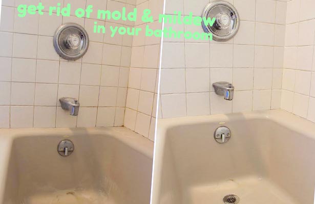 dangers of black mold in shower
