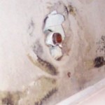dangers of cleaning black mold