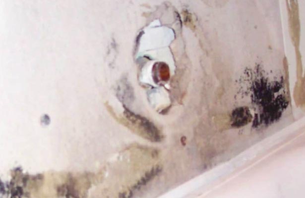 dangers of cleaning black mold