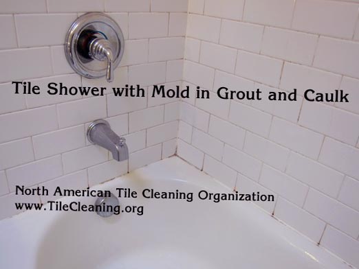 get rid of mildew in shower caulk