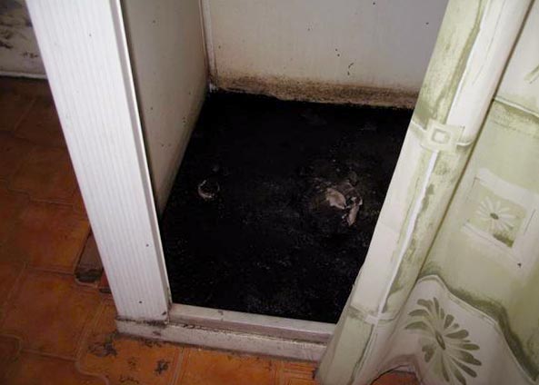 get rid of mold above shower