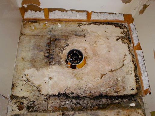 get rid of mold in bathroom ceiling