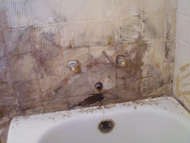 get rid of mold in bathroom sink drain