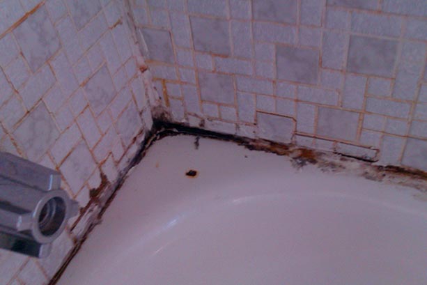 get rid of mold in bathroom wall