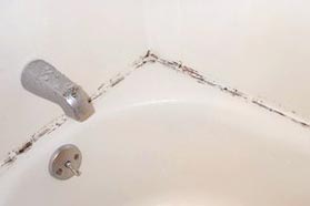 get rid of mold in shower curtain