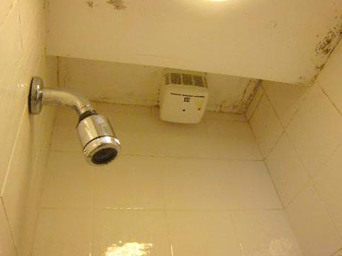 get rid of pink mold in shower