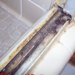 how do you know if you have black mold in your body