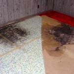 how do you know if you have black mold in your lungs