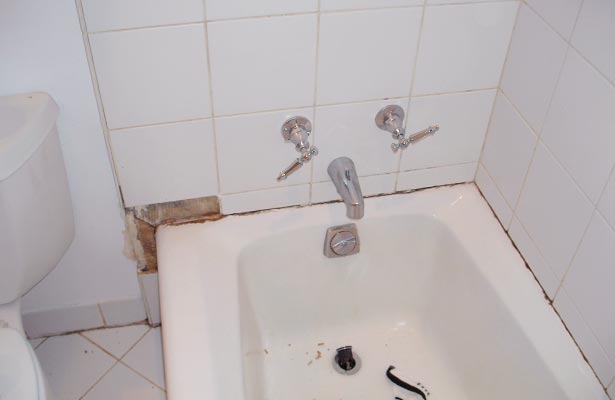 how to clean a moldy shower drain and stall