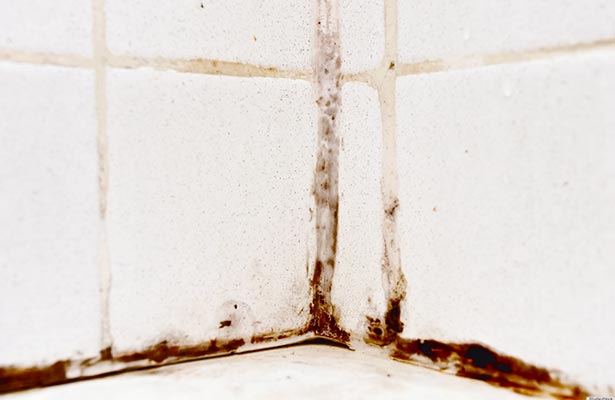 how to clean mildew and mold from a shower and clean shower mold and mildew naturally