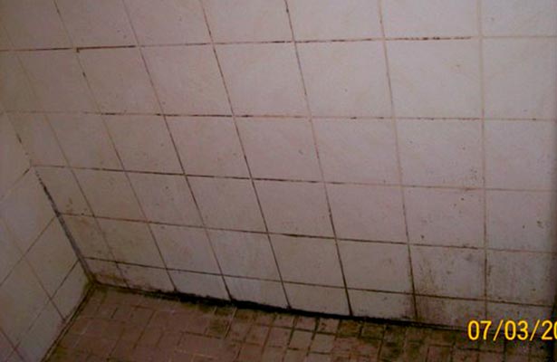 how to clean mold around shower door how to clean mold off acrylic shower