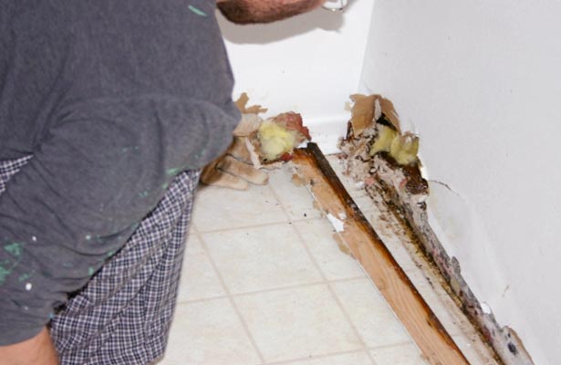 how to detect black mold in a house