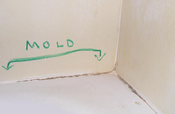 how to get mold off shower curtain liner