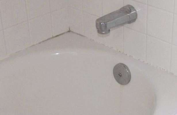 how to keep mold out of a shower